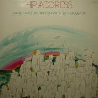 David Earle Johnson - Hip Address (LP)