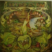 Spyro Gyra - Morning Dance (LP)