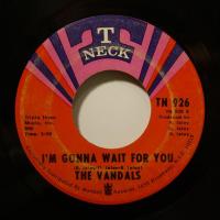 The Vandals I'm Gonna Wait For You (7")