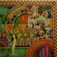 Dr. Buzzard\'s Original Savannah Band (LP)