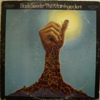 Main Ingredient - Black Seeds (LP)
