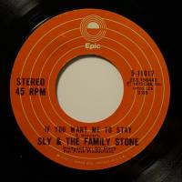 Sly & The Family Stone If You Want Me To Stay (7")