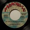 Lalomie Washburn - My Love Is Hot (7")