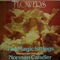 Norman Candler Silver Threads Among The Gold (LP)