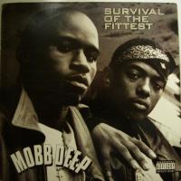 Mobb Deep Survival Of The Fittest (12")