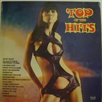 Studio Group - Top Of The Hits (LP)