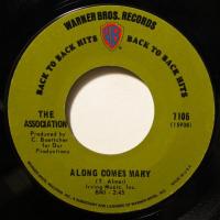 The Association Along Comes Mary (7")