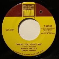 Gaye & Terrel What You Gave Me (7")