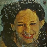 Gal Costa - Agua Viva (LP)