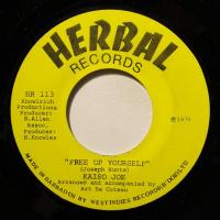 Kaiso Joe - Free Up Yourself (7")