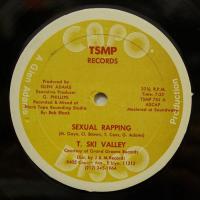 T Ski Valley Sexual Rapping (12")