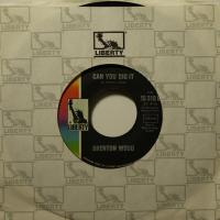 Brenton Wood - Bundle Of Love (7")