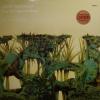 Jerry Gonzalez - The River Is Deep (LP)