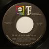 Robbie Mitchell - No One Can Do The... (7")