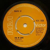 Route 17 I'm In Love (7")