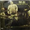 Fat Joe - Jealous One's Envy (LP)