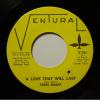 Terri Sharp - A Love That Will Last (7")