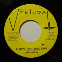 Terri Sharp - A Love That Will Last (7")