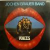 Jochen Brauer Band - Voices (LP)