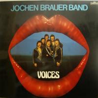 Jochen Brauer Band - Voices (LP)