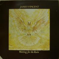 James Vincent - Waiting For The Rain (LP)