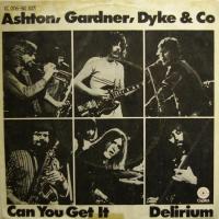 Ashton Gardner & Dyke Delirium (7")