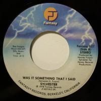Sylvester Was It Something I Said (7")