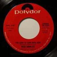 Rick Bowles Mr Right (7")