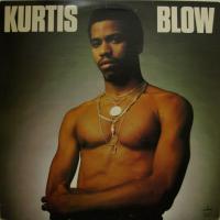 Kurtis Blow The Breaks (LP)