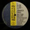 Jamaica Girls - Need Somebody New (12")