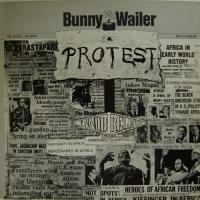 Bunny Wailer Get Up Stand Up (LP)