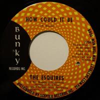 Esquires How Could It Be (7")