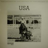 Various - USA (LP)