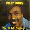 Billy Jones - Birds Of The Sea (LP)