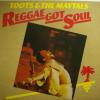 Toots & The Maytals - Reggae Got Soul (LP)