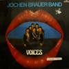 Jochen Brauer Band - Voices (LP)
