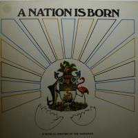 Various - A Nation Is Born (LP)