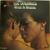 The Dynamics - What A Shame (LP)
