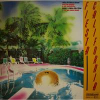 Chris Reynolds Cancun Beach (LP)