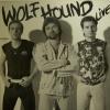 Wolfhound - Live (LP)