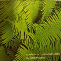 Edgar Froese - Ypsilon In Malaysian Pale (LP)