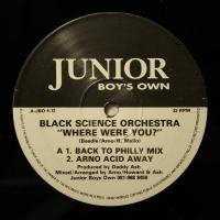 Black Science Orchestra Where Were You (12")