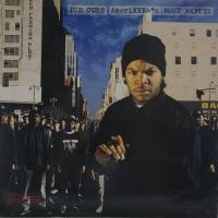 Ice Cube AmeriKKKa?s Most Wanted