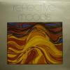 Florian Voelxen - Reflective Moods (LP)