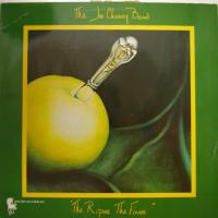 Joe Chemay Band - The Riper The Finer (LP)