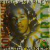  Ziggy Marley - Conscious Party (LP)
