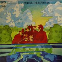 Beach Boys Transcendental Meditation (LP)
