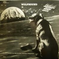 Wolfhound - Another Moon Song (LP)