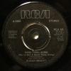 Desi Roots - Hung Up (7")