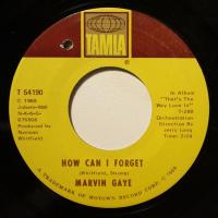 Marvin Gaye How Can I Forget (7")